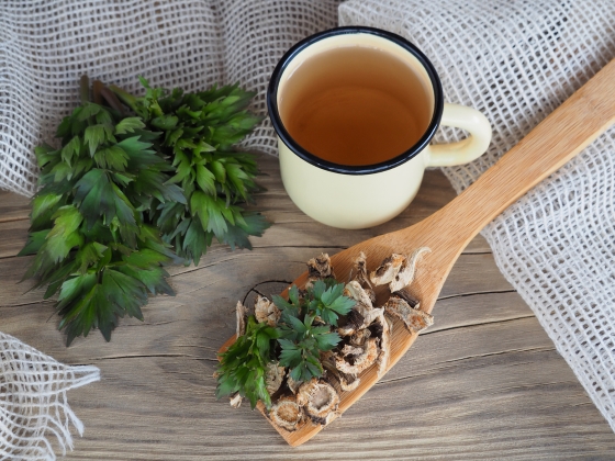 Ceai de leustean – utilizari, beneficii si contraindicatii