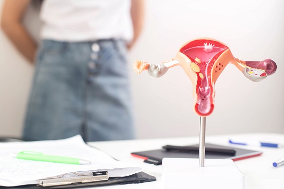 Menoragie (menstruatie abundenta) – cauze si remedii