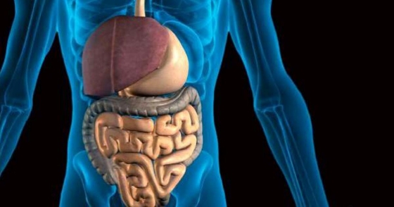 11 sfaturi pentru imbunatatirea tranzitului intestinal