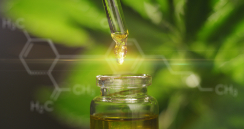 Uleiul CBD: la ce foloseste si care este diferenta fata de uleiul de canepa