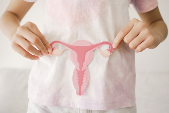 Uter septat: ce este, cum afecteaza fertilitatea si ce optiuni de tratament exista