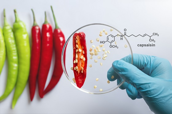 Capsaicina: beneficii dovedite sau mit?