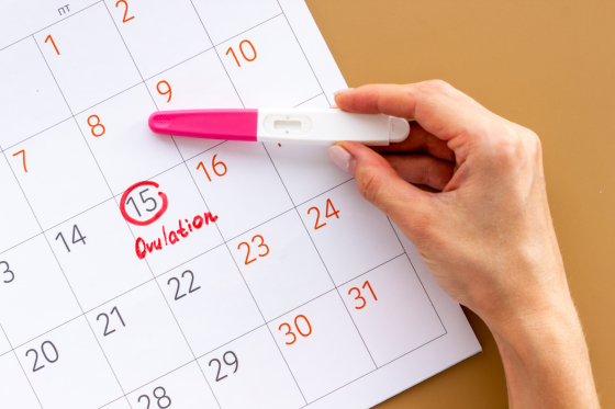 Cum functioneaza testele de ovulatie