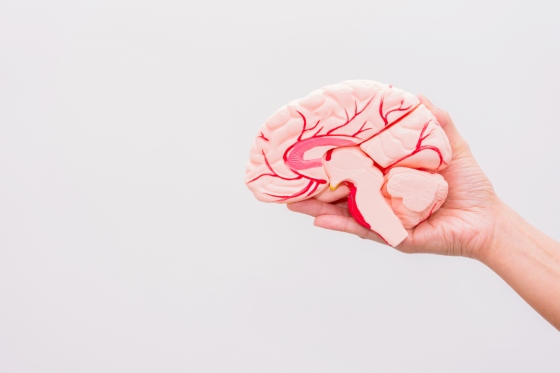 Sindromul cerebelos: cauze, diagnostic, manifestari clinice si tratament