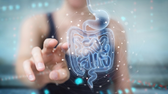 Enzimele digestive – ce sunt si ce rol au?