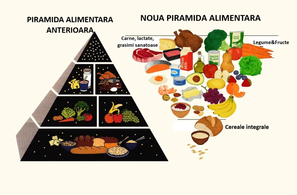 Noua piramida alimentara: carnea si lactatele integrale, in centrul atentiei