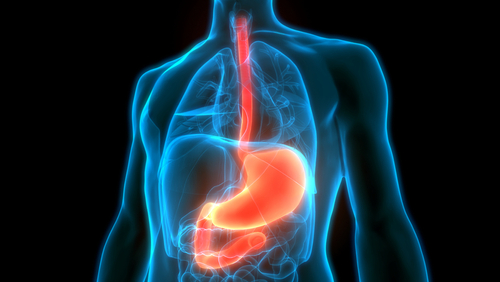 Gastroduodenita: ce este, cauze, simptome, diagnostic, tratament si complicatii asociate
