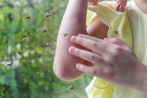 Virusul Zika: cum se transmite si cum sa va protejati vara