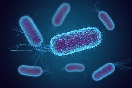 Infectia cu Escherichia coli (E.coli)