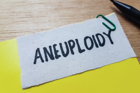 Aneuploidie