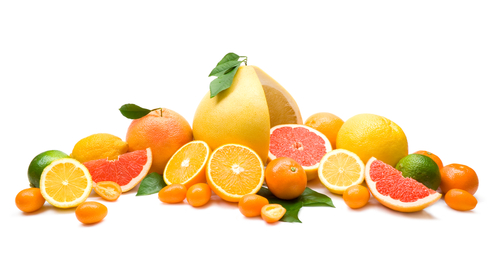 Extract din seminte de grapefruit – utilizari si beneficii