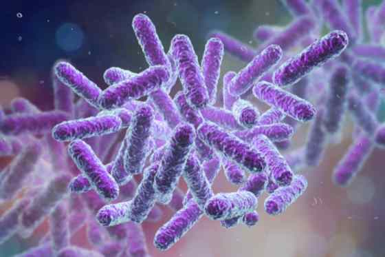 Cum afecteaza antibioticele echilibrul florei vaginale?
