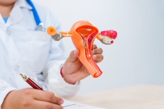 Uter unicorn: ce este, cauze, simptome si diagnostic