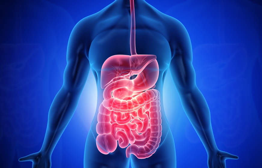 Disbioza intestinala - cauze, manifestari si tratament