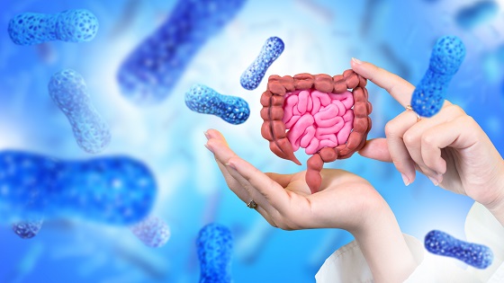 Top 10 alimente pentru un microbiom intestinal sanatos