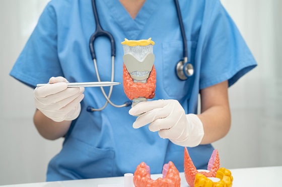 Analize endocrinologice: care sunt si cat de des trebuie efectuate?