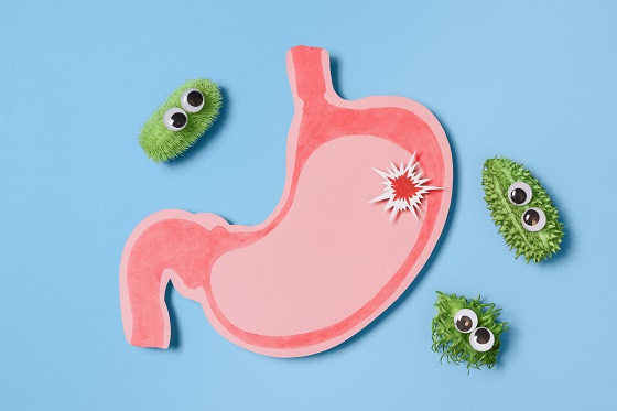 Flora intestinala: rol, functii si importanta sa pentru sanatate
