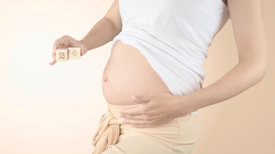 Informatii complete despre saptamana 24 de sarcina