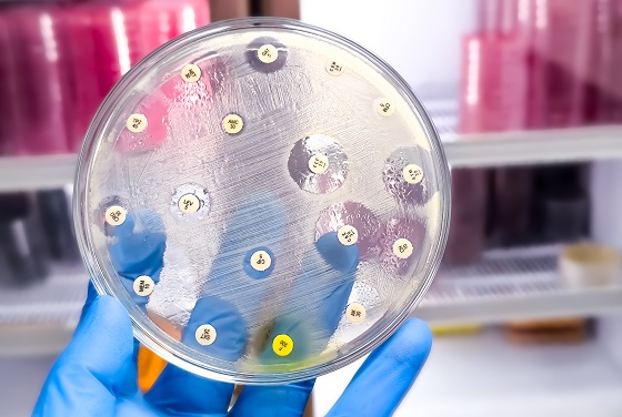 Administrarea corecta a antibioticelor. Ghid pentru pacienti