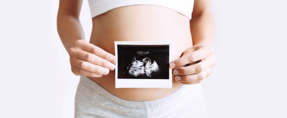 Trimestrul 2 de sarcina – informatii despre dezvoltarea bebelusului si necesarul de analize