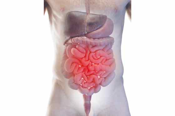 Cum sa recunoasteti semnele unui sistem digestiv sanatos
