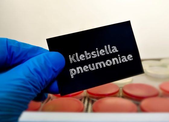 Infectia cu Klebsiella: simptome, transmitere si tratament