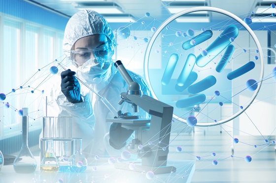 Ce sunt bacteriile lactice si ce rol au in organism?