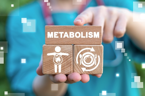 Metabolism: ce este si cum poate fi imbunatatit