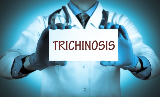 Totul despre trichineloza: cauze, simptome, diagnostic, tratament