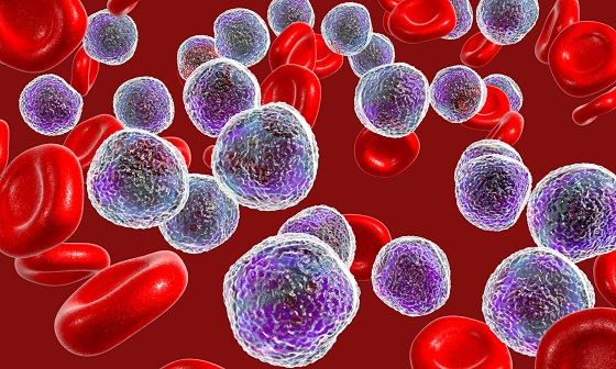 Informatii despre neutrofile – cauze neutrofile marite si scazute
