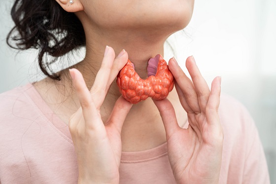 Glanda tiroida: functii, rol si afectiuni