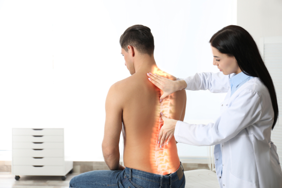 Coloana vertebrala: anatomie si functii