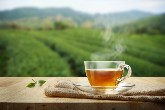 Ceai pentru rinichi - ceaiuri recomandate pentru sanatatea rinichilor
