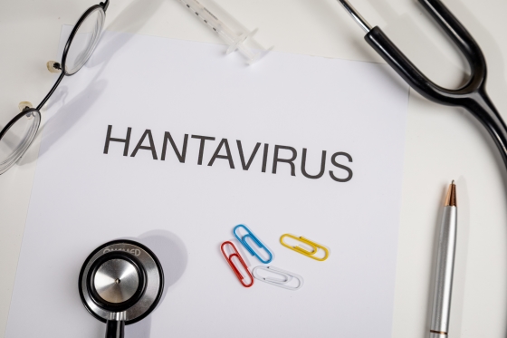 Hantavirus: ce este, cum se transmite si cum poate fi prevenit