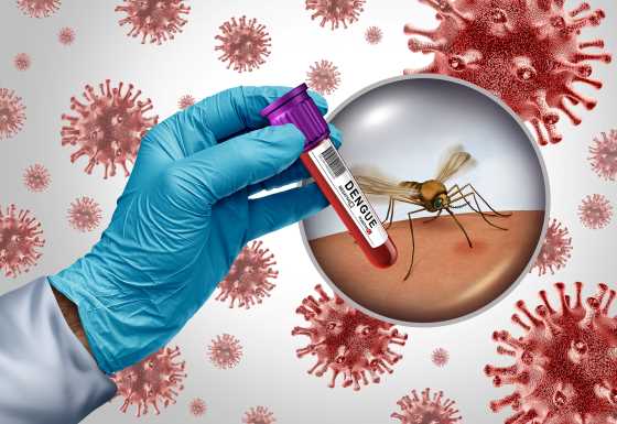 Febra Dengue: cauze, simptome, diagnostic, tratament si preventie