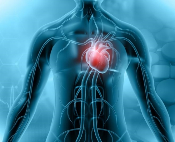 Ce este miocardita, de ce apare si care sunt factorii de risc 
