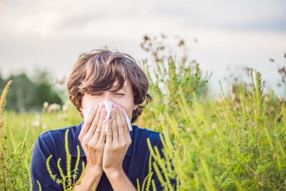 Alergia la polen - manifestari si tratament