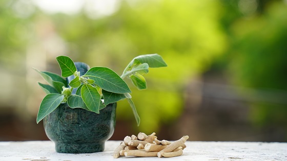 Ce este ashwagandha? Recomandari privind suplimentele pe baza de ashwagandha