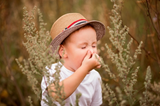Alergia la ambrozie in randul copiilor – sfaturi pentru parinti