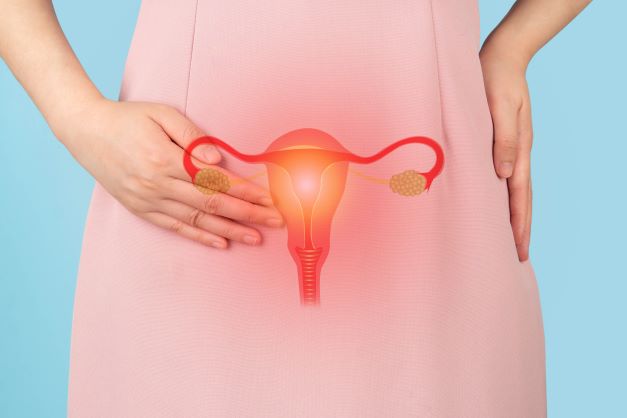 Ovare polichistice - cauze, simptome si remedii