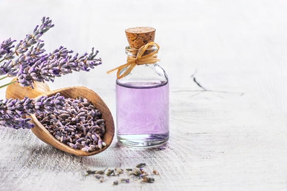 Lavanda – proprietati si utilizari