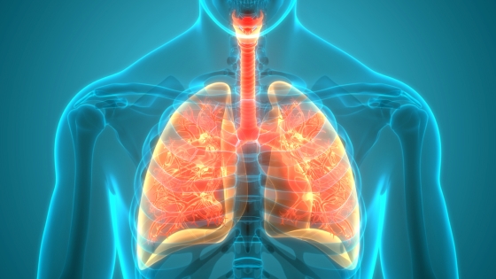 Sarcoidoza pulmonara – cauze, diagnostic si tratament