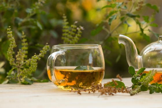 Ceai Tulsi – beneficii si proprietati terapeutice