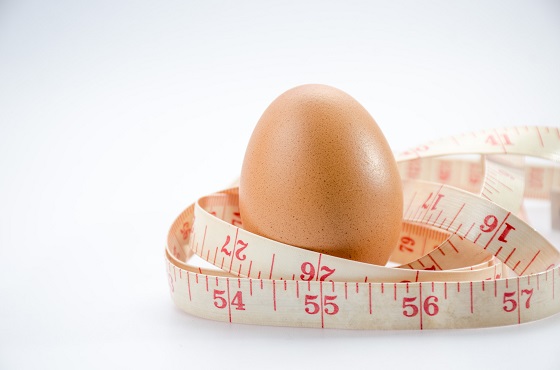 Ce este si care sunt regulile de urmat in dieta cu oua