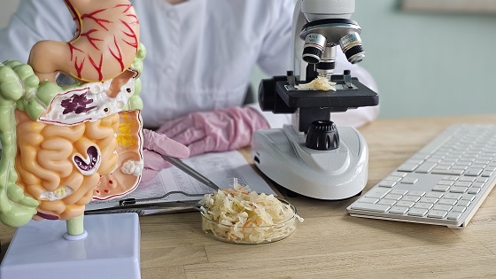 Analiza microbiom intestinal: ce este, ce scop are, pregatirea pacientului, rezultate