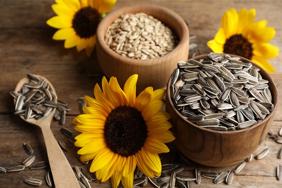 Seminte de floarea-soarelui – beneficii si modalitati sanatoase de consum