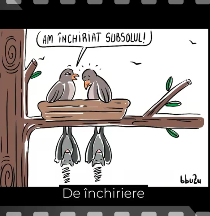 De inchiriere - Ep. 237