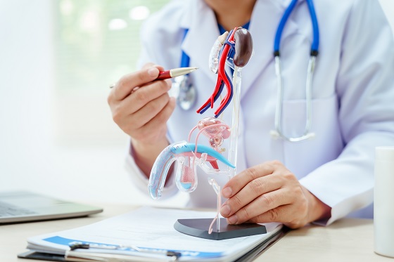 Urina tulbure? Care sunt afectiunile din spatele acestei simptomatologii