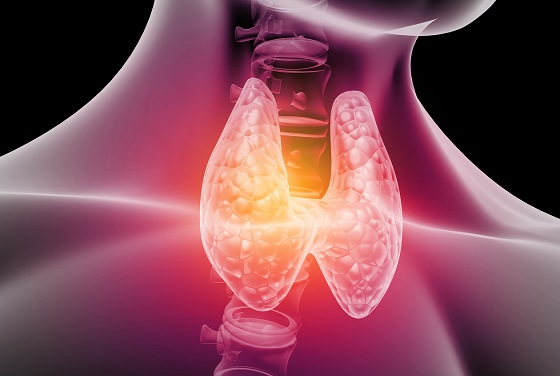 Semne care arata ca tiroida nu functioneaza in parametri optimi