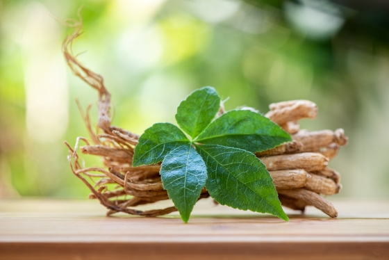 Ginseng – proprietati, consum si beneficii pentru sanatate